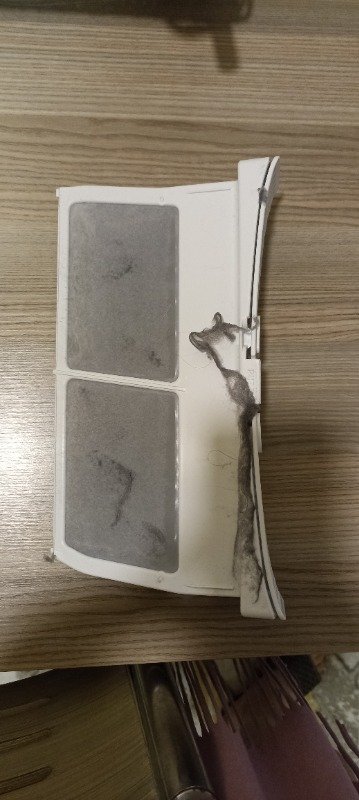 Asya Karadenizli ürün değerlendirmesi