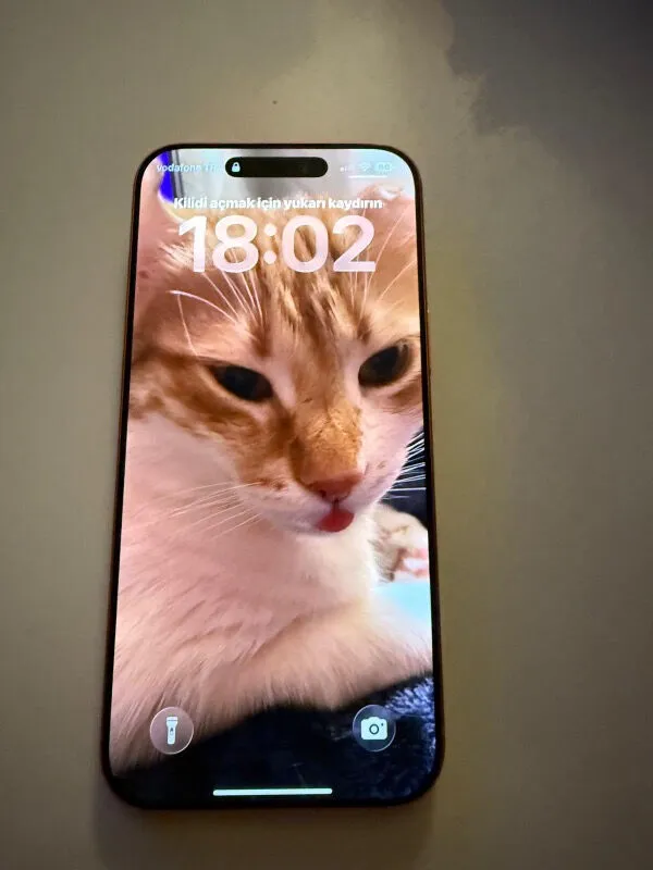 Apple iPhone 17 Pro Max