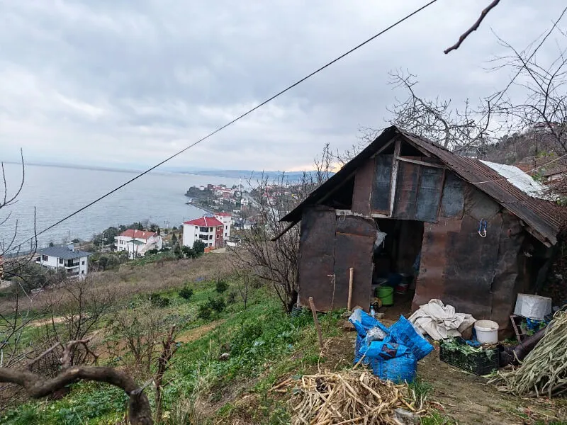 Saadet Erginayer ürün değerlendirmesi