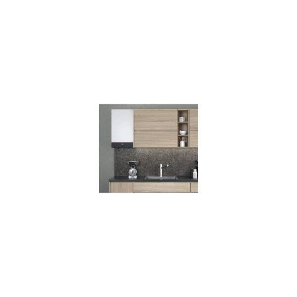 Viessmann Vitodens Classic 25 kW Yoğuşmalı Kombi (Baca Dahil)